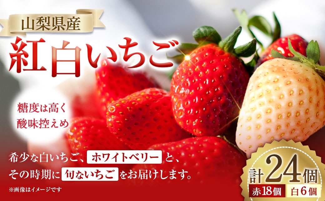 紅白いちご 24個入りいちご 【2026年1月下旬～3月下旬発送予定】