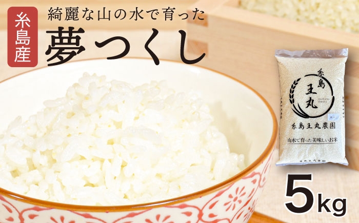 綺麗な山の水で育ったおいしいお米 