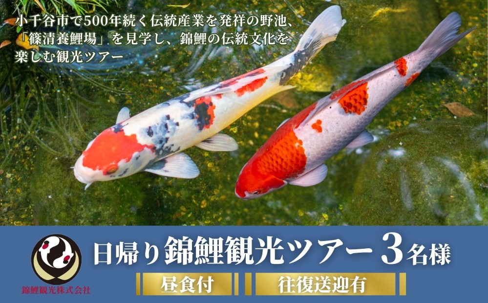 日帰り錦鯉観光ツアー！！