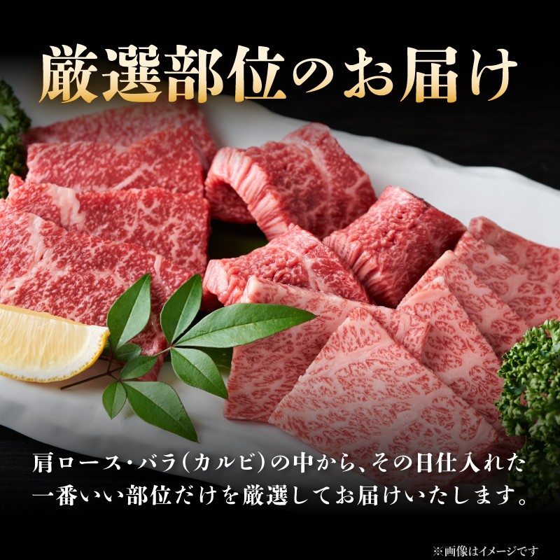 訳あり! 【A4～A5】博多和牛焼肉切り落とし 500g