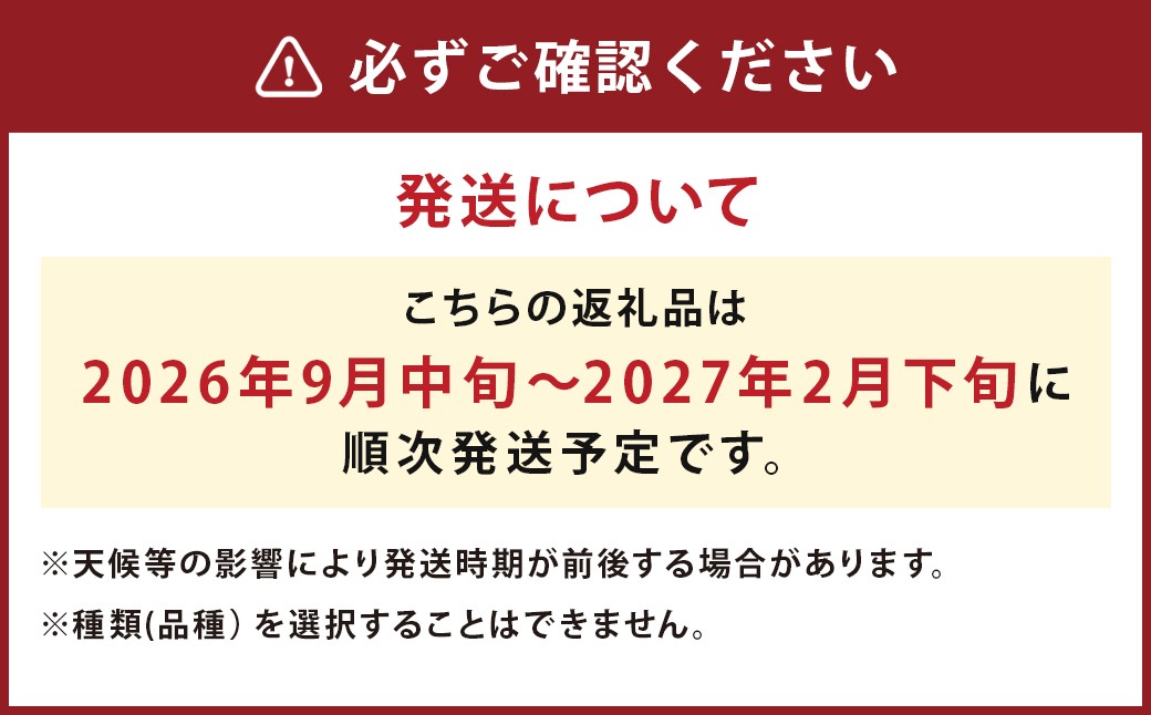 【厳選品】岩手にのへじゃがいも「伝」3～4種 品種おまかせ (L・Mサイズ混合) 10kg