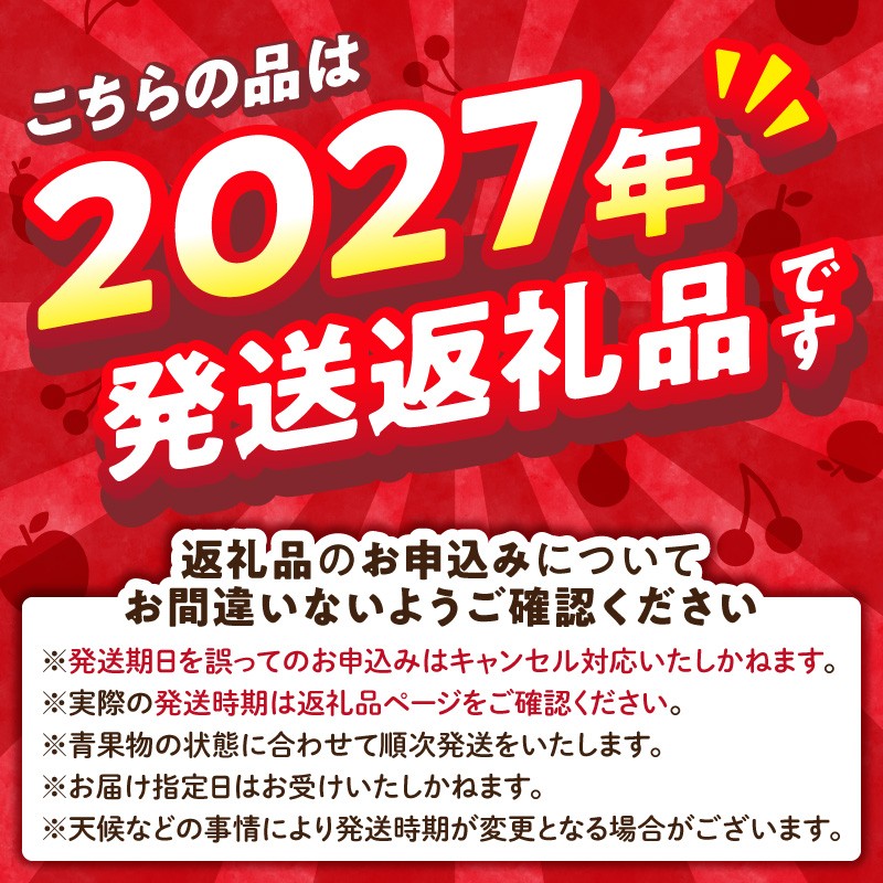 《先行受付》【2027年2月発送予定】 最高級 特選大玉サンふじ約3kg　【大江町産・山形りんご・大地農産】