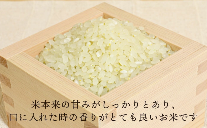 綺麗な山の水で育ったおいしいお米 