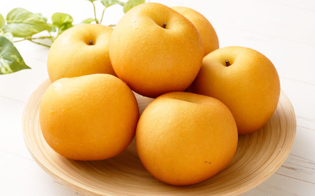 福果園の樹上完熟梨 農家直送品種おまかせ（3kg程度）