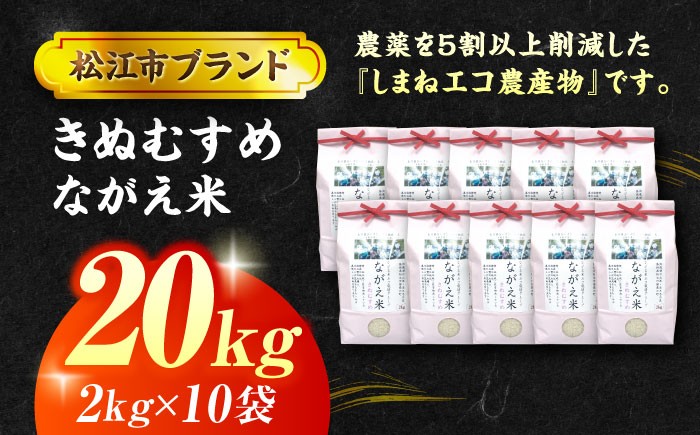 米 おこめ ごはん ご飯 炊き込み 飯 食卓 おにぎり 白米 お米 きぬむすめ ながえ米 産地直送米 炊飯 飯ごう 炊飯器