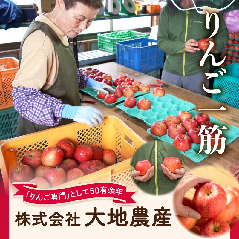 《先行受付》【2027年1月発送予定】 最高級 特選大玉サンふじ約3kg 【大江町産・山形りんご・大地農産】 
