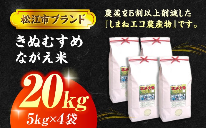 米 おこめ ごはん ご飯 炊き込み 飯 食卓 おにぎり 白米 お米 きぬむすめ ながえ米 産地直送米 炊飯 飯ごう 炊飯器