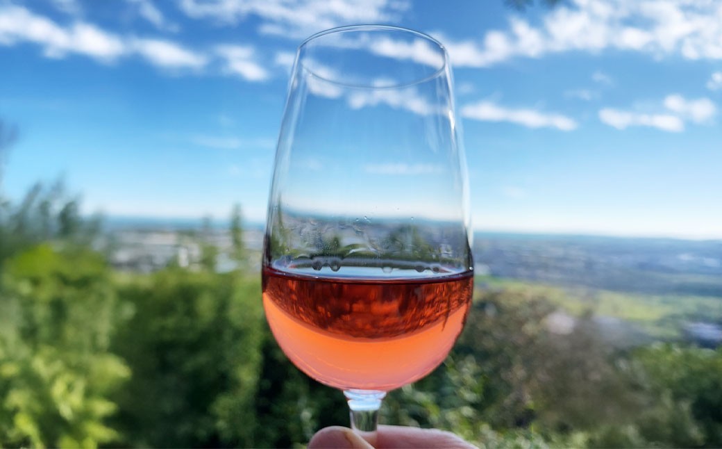 tosa cavatina 美良布マスカット・ベーリーAロゼ 2024（1本）