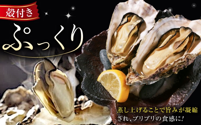 牡蠣 むき身 殻付き かき カキ 生牡蠣 広島牡蠣 オイスター カキフライ 魚介類 貝類 海鮮 広島県産 国産 産地直送