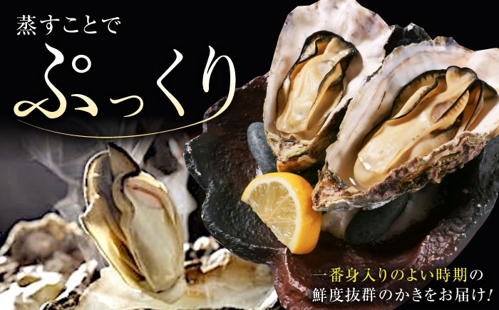 牡蠣 むき身 殻付き かき カキ 生牡蠣 広島牡蠣 オイスター カキフライ 魚介類 貝類 海鮮 広島県産 国産 産地直送