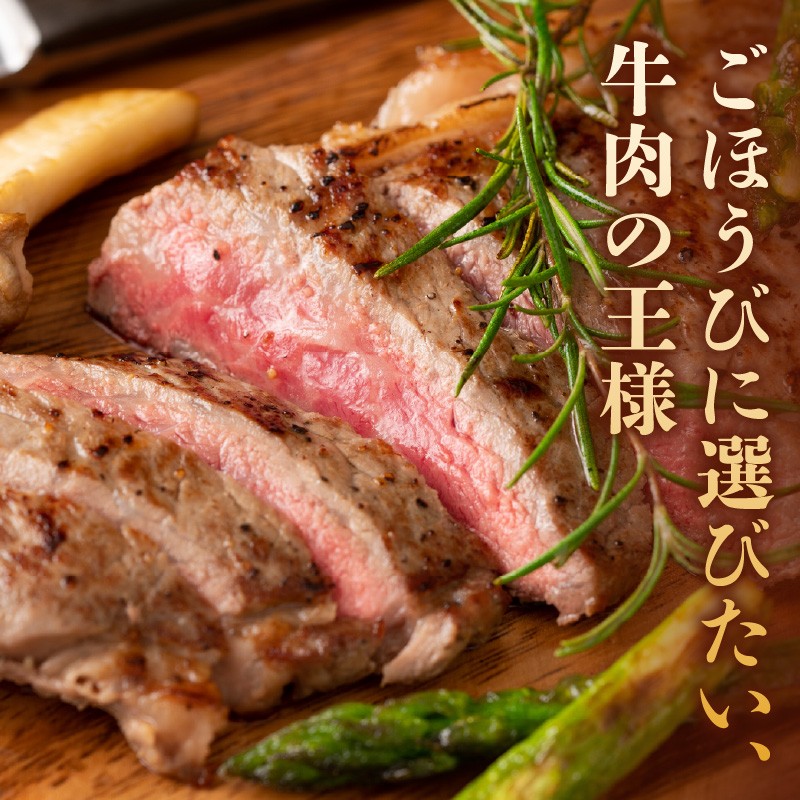 【A4～A5】博多和牛サーロインステーキ 600g