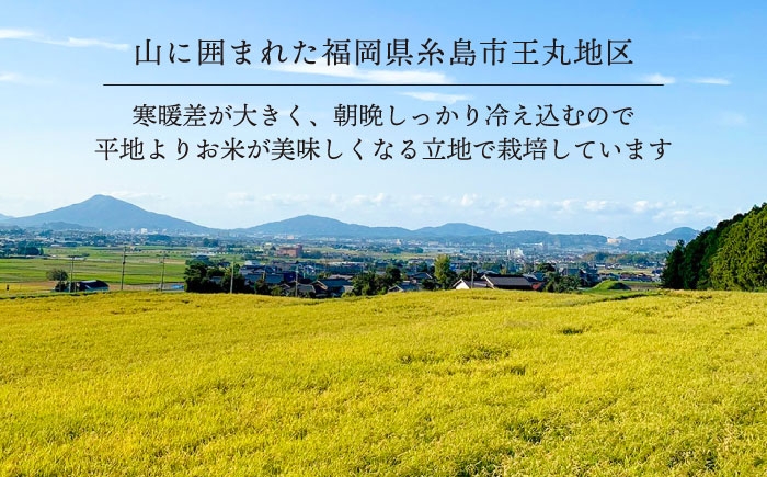 綺麗な山の水で育ったおいしいお米 