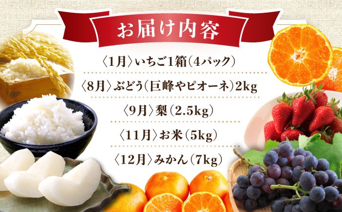 いちご 苺 ぶどう 梨 なし お米 米 ごはん みかん 果物 フルーツ 