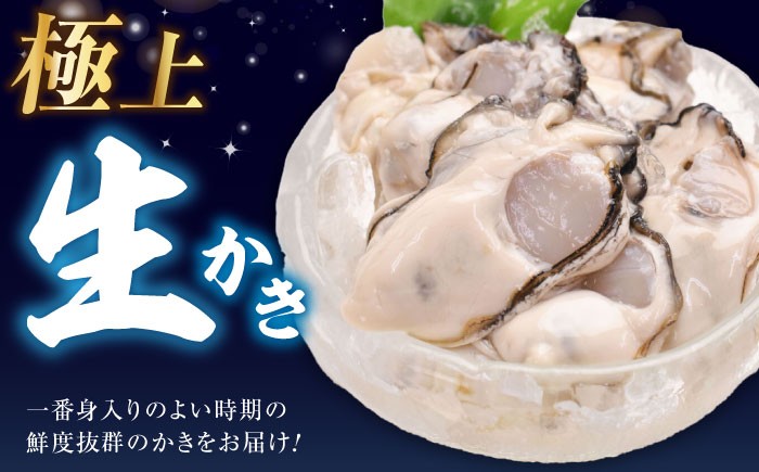 牡蠣 生食 むき身 殻付き かき カキ 生牡蠣 広島牡蠣 オイスター カキフライ 魚介類 貝類 海鮮 広島県産 国産 産地直送