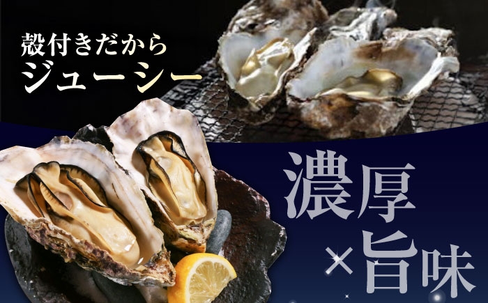 牡蠣 むき身 殻付き かき カキ 生牡蠣 広島牡蠣 オイスター カキフライ 魚介類 貝類 海鮮 広島県産 国産 産地直送