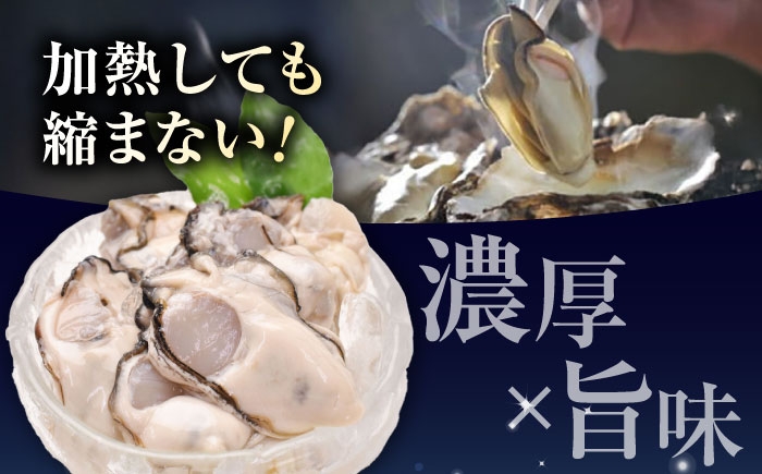 牡蠣 むき身 殻付き かき カキ 生牡蠣 広島牡蠣 オイスター カキフライ 魚介類 貝類 海鮮 広島県産 国産 産地直送