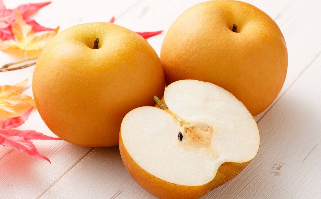 福果園の樹上完熟梨 農家直送品種おまかせ（3kg程度）