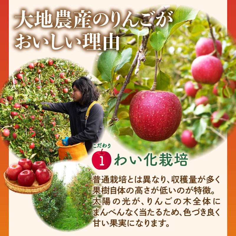 《先行受付》【2027年2月発送予定】 最高級 特選大玉サンふじ約3kg　【大江町産・山形りんご・大地農産】