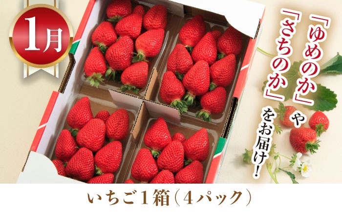 いちご 苺 ぶどう 梨 なし お米 米 ごはん みかん 果物 フルーツ 