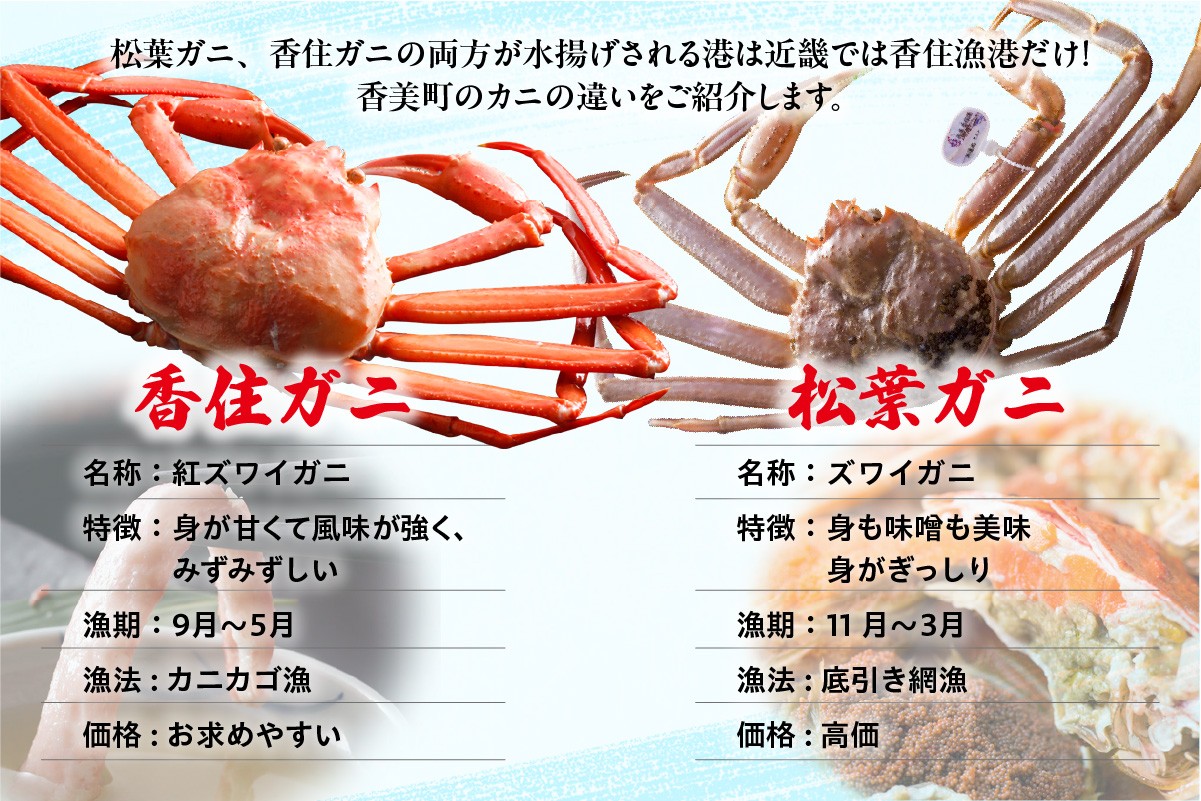 香住ガニ、松葉ガニの両方が水揚げされる港は近畿では香住漁港だけ！
香美町の「カニ」の違いをご紹介します。