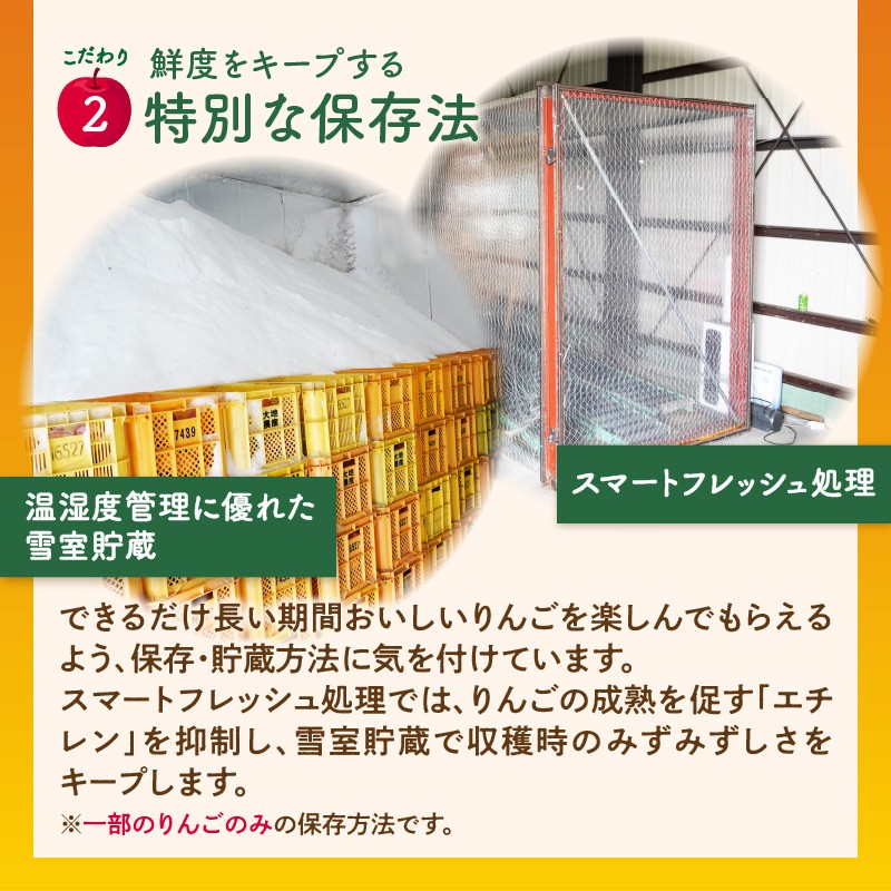 《先行受付》【2027年3月発送予定】 最高級 特選大玉サンふじ約3kg【大江町産・山形りんご・大地農産】
