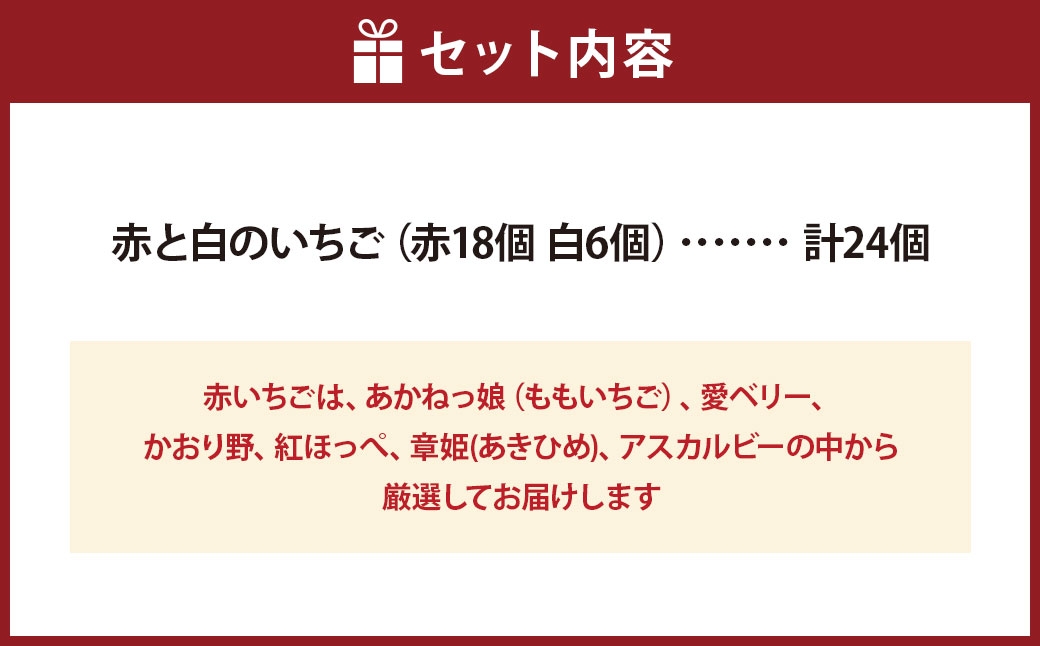 紅白いちご 24個入りいちご 【2026年1月下旬～3月下旬発送予定】