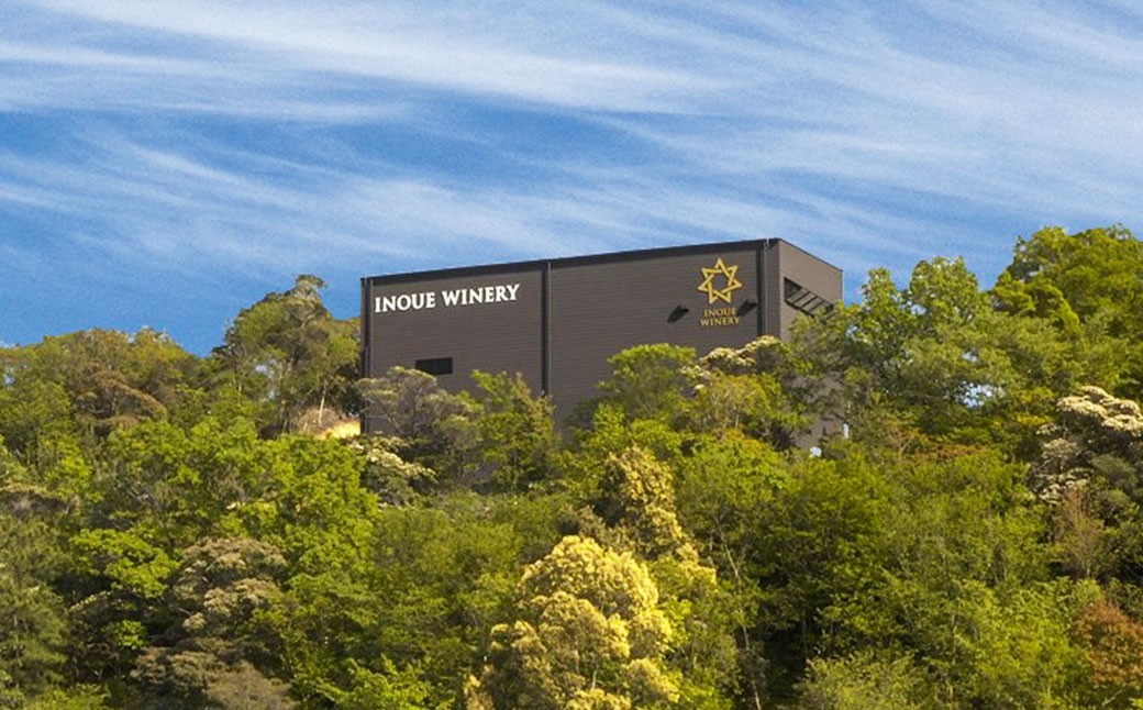 tosa cavatina 美良布マスカット・ベーリーAロゼ 2024（1本）