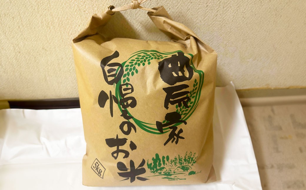 ＜先行予約＞令和7年産 岐阜のお米 ハツシモ 初霜 5kg