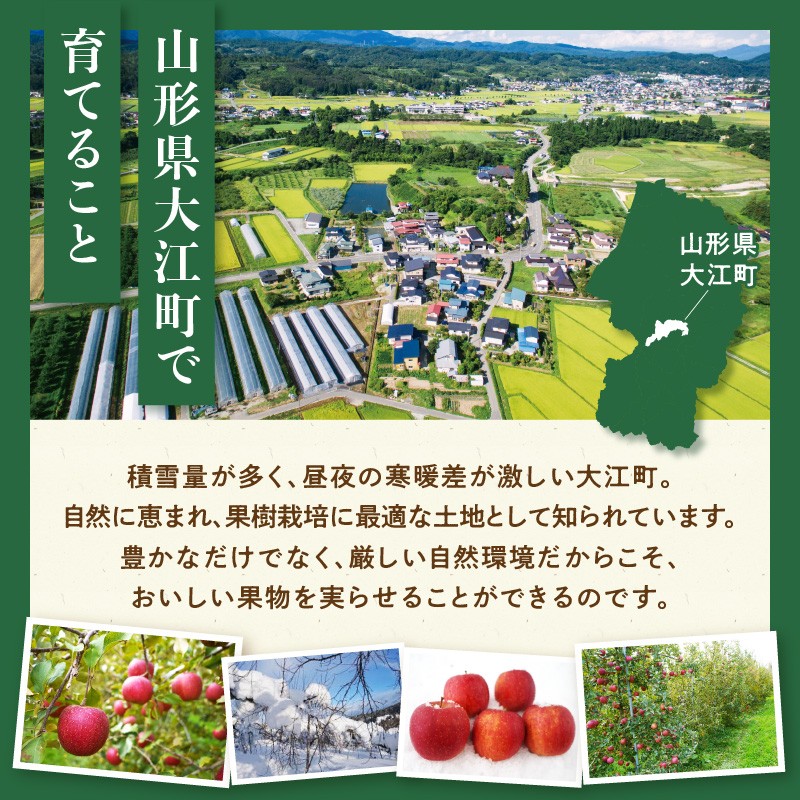 《先行受付》【2027年2月発送予定】 最高級 特選大玉サンふじ約3kg　【大江町産・山形りんご・大地農産】