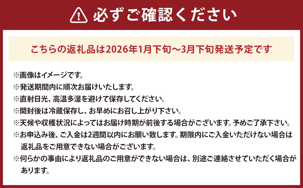 紅白いちご 24個入りいちご 【2026年1月下旬～3月下旬発送予定】