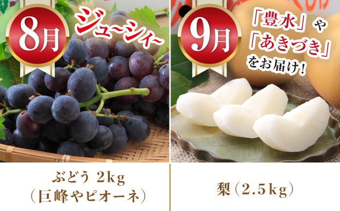 いちご 苺 ぶどう 梨 なし お米 米 ごはん みかん 果物 フルーツ 