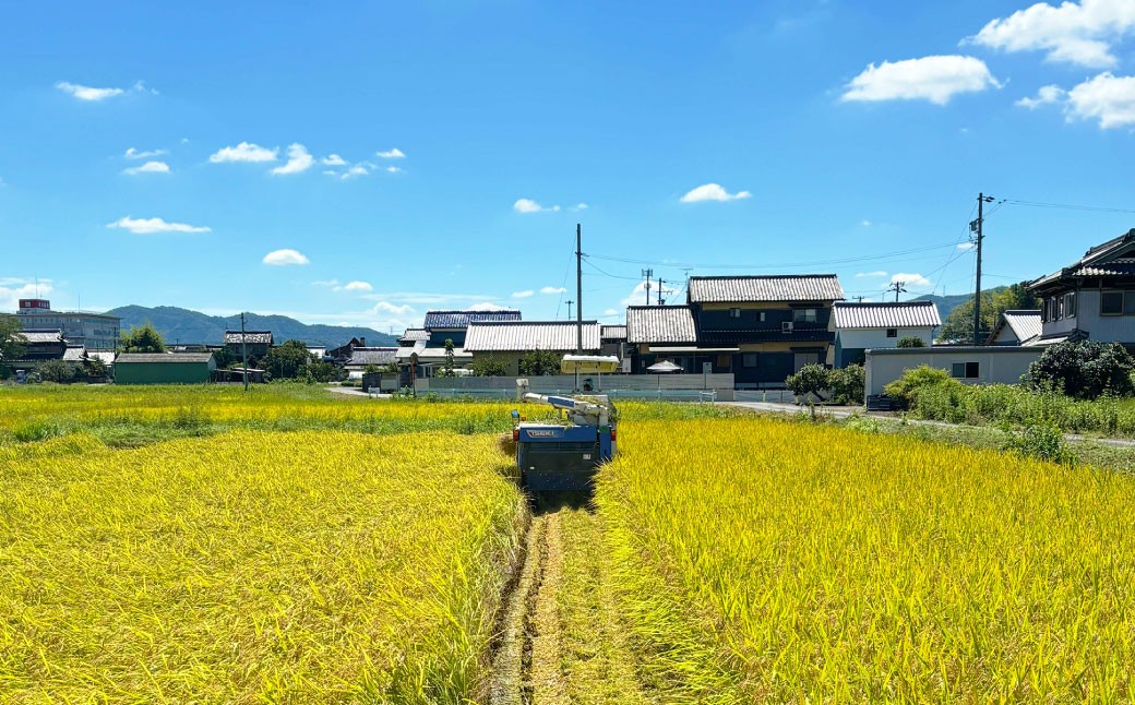 ＜先行予約＞令和7年産 岐阜のお米 ハツシモ 初霜 5kg