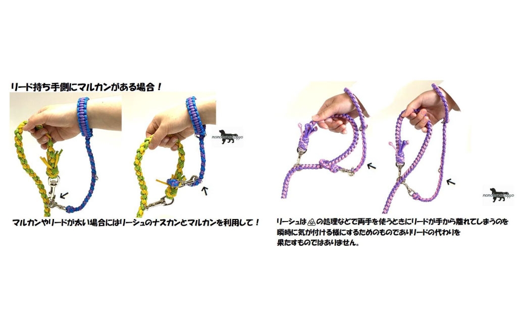 ジョイントリード（8本丸編み・スタンダード）＆愛犬さんと飼主さんを繋ぐリーシュ（サブ持ち手）セット