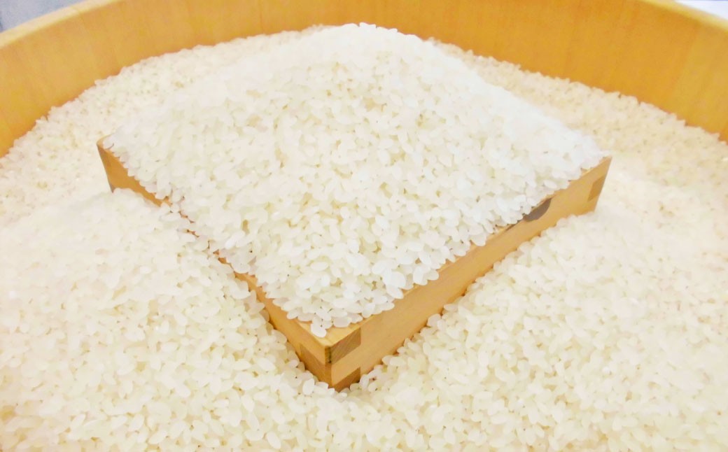 ＜先行予約＞令和7年産 岐阜のお米 ハツシモ 初霜 5kg