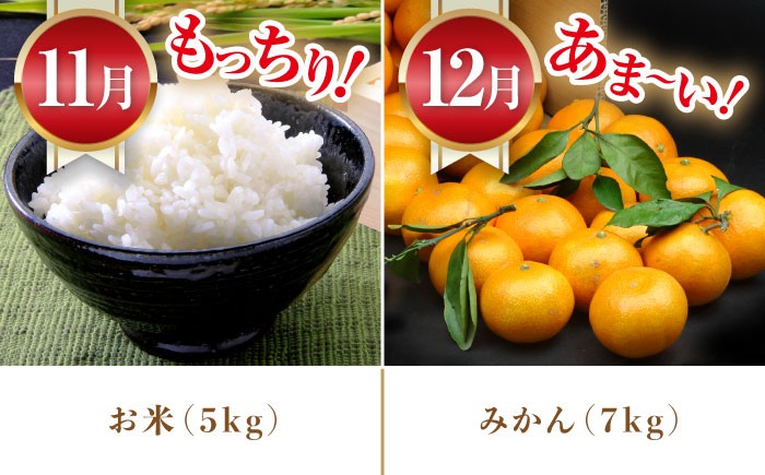 いちご 苺 ぶどう 梨 なし お米 米 ごはん みかん 果物 フルーツ 