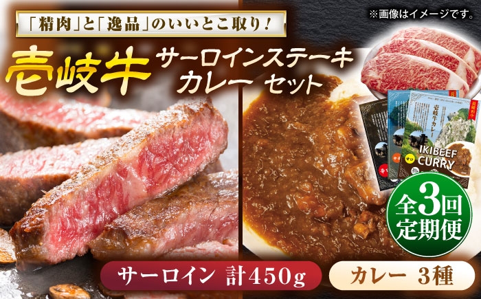 カレー サーロイン ステーキ お取り寄せ グルメ ビーフ ご当地 定期便