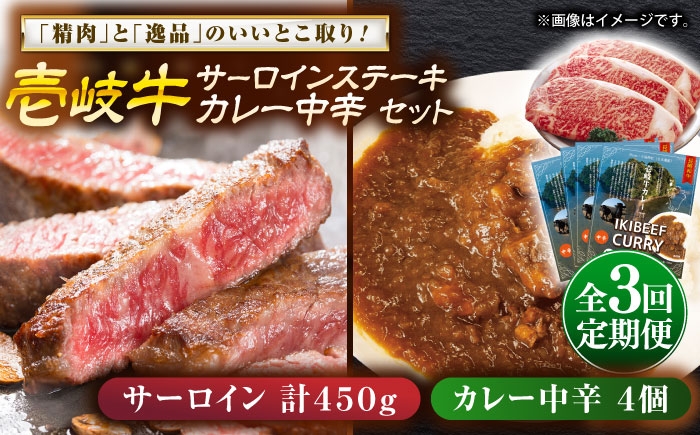 カレー サーロイン ステーキ お取り寄せ グルメ ビーフ ご当地 定期便