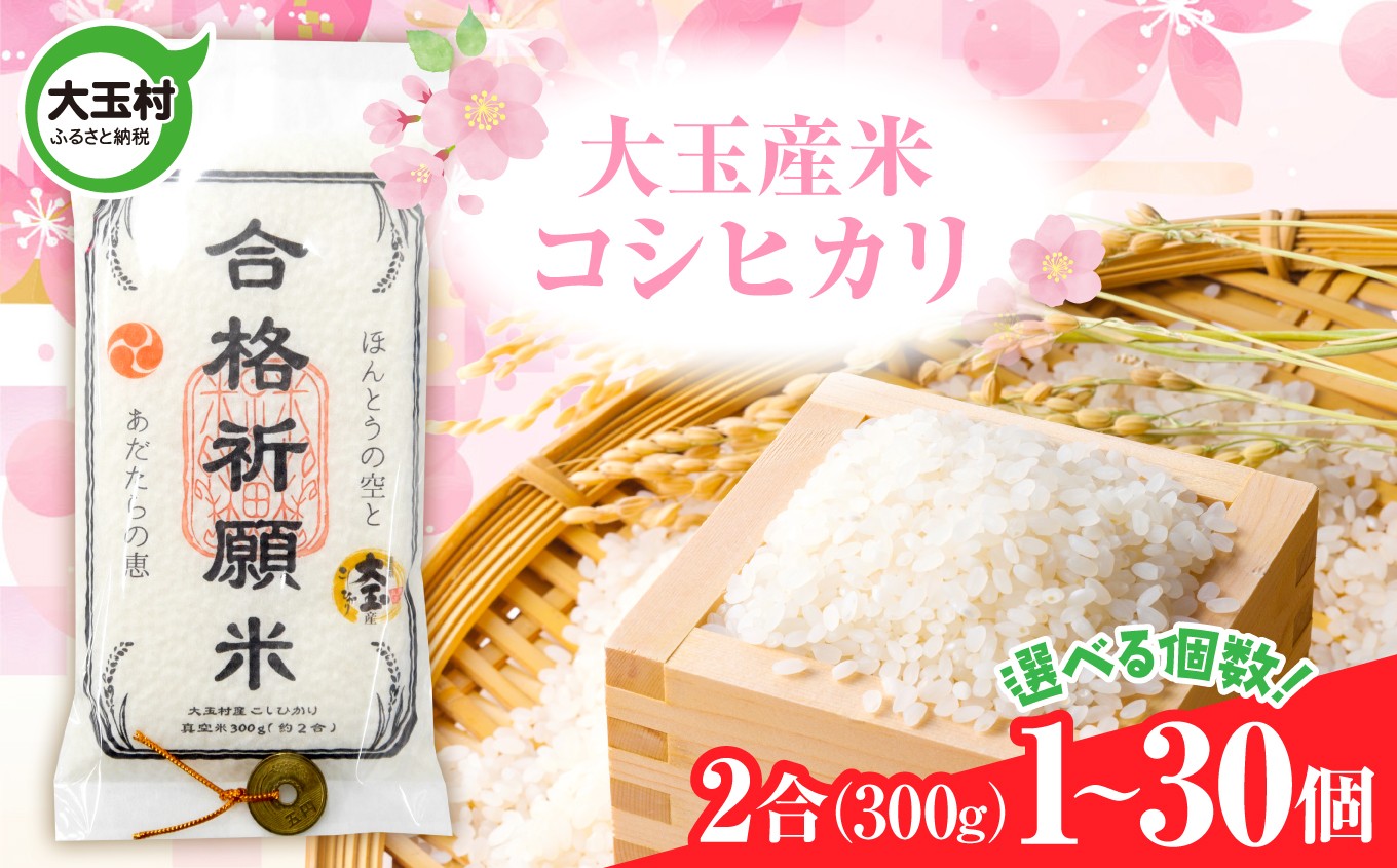 【令和7年産】合格祈願米 コシヒカリ 真空米 2合(300g)×1個 受験 御利益  【as-skgk01-R7】
