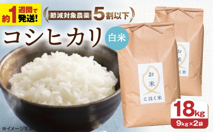  滋賀県湖北産 湖北のコシヒカリ 18kg(白米)　米 お米 ご飯 ごはん ゴハン おにぎり 炊き込みご飯 人気 おすすめ