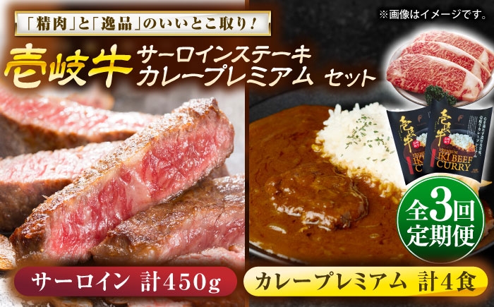 カレー サーロイン ステーキ プレミアム お取り寄せ グルメ ビーフ 定期便