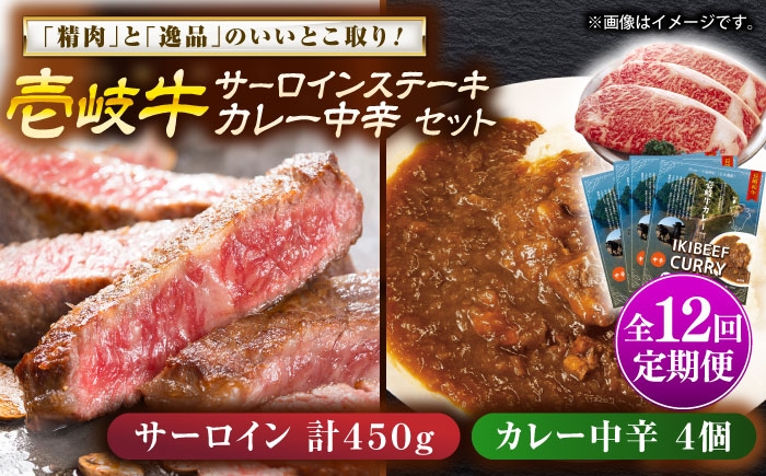 カレー サーロイン ステーキ お取り寄せ グルメ ビーフ ご当地 定期便