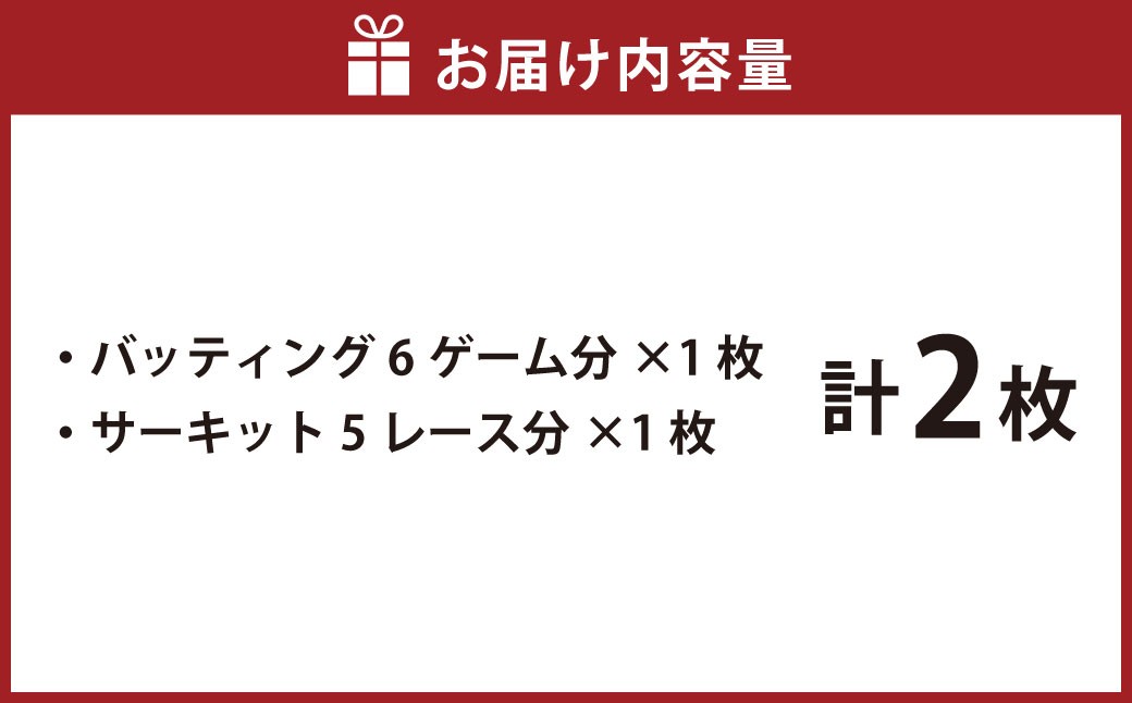 バッティング 6ゲームカード×1枚 サーキット 5レースカード×1枚セット 大和レジャースポーツプラザ ビッグバン