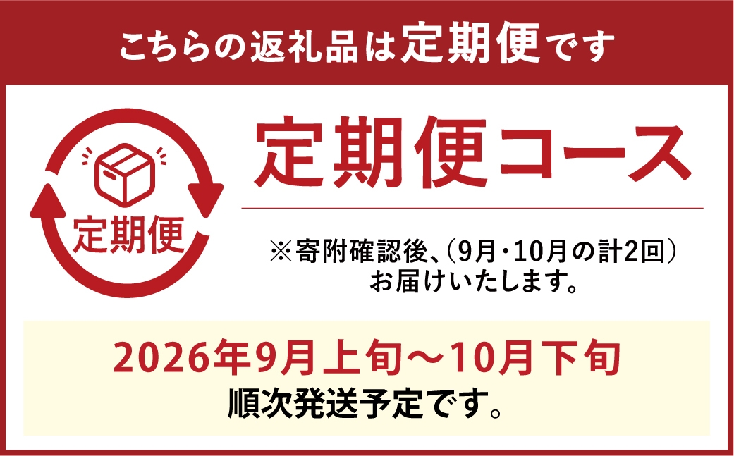 [HS]【定期便 全2回】ぶどう シャイン マスカット 晴王 1房 約600g