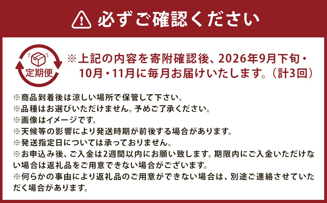 【3ヶ月定期便】 梨 3kg