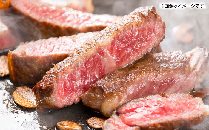 カレー サーロイン ステーキ しぐれ煮 ジャーキー 取り寄せ グルメ 定期便