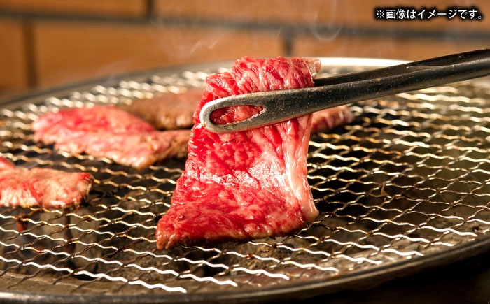 カレー モモ 焼き肉 お取り寄せ グルメ ビーフ ご当地 定期便