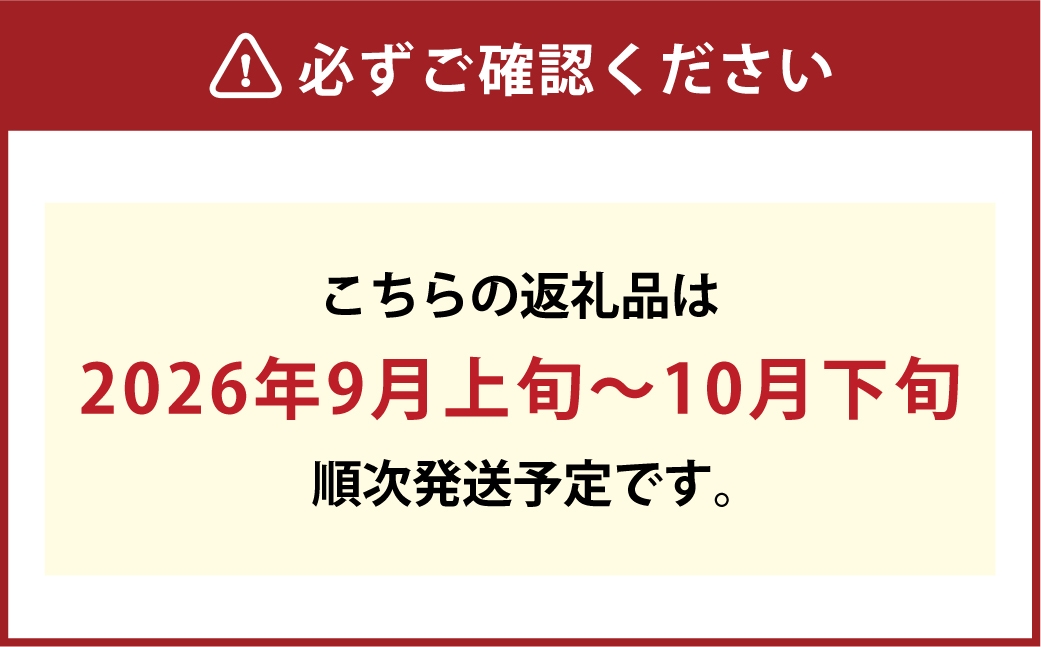 [HS]ぶどう シャイン マスカット 晴王 1房 約600g