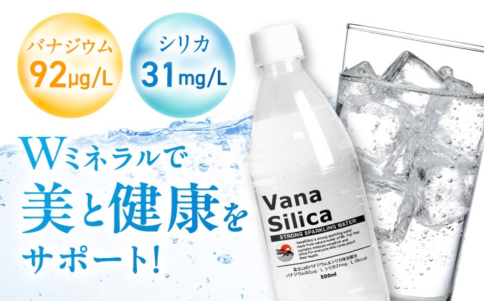 炭酸 強炭酸 炭酸水 大容量 ハイボール 割り材 割材 ペットボトル お水 飲料 飲料水 ドリンク 飲み物 備蓄 シリカ