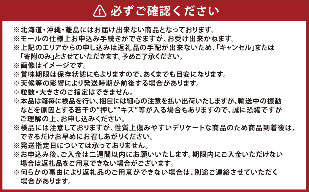 [HS]【定期便 全2回】ぶどう 最高級品シャイン マスカット 晴王 2房 〈合計約1.4kg〉