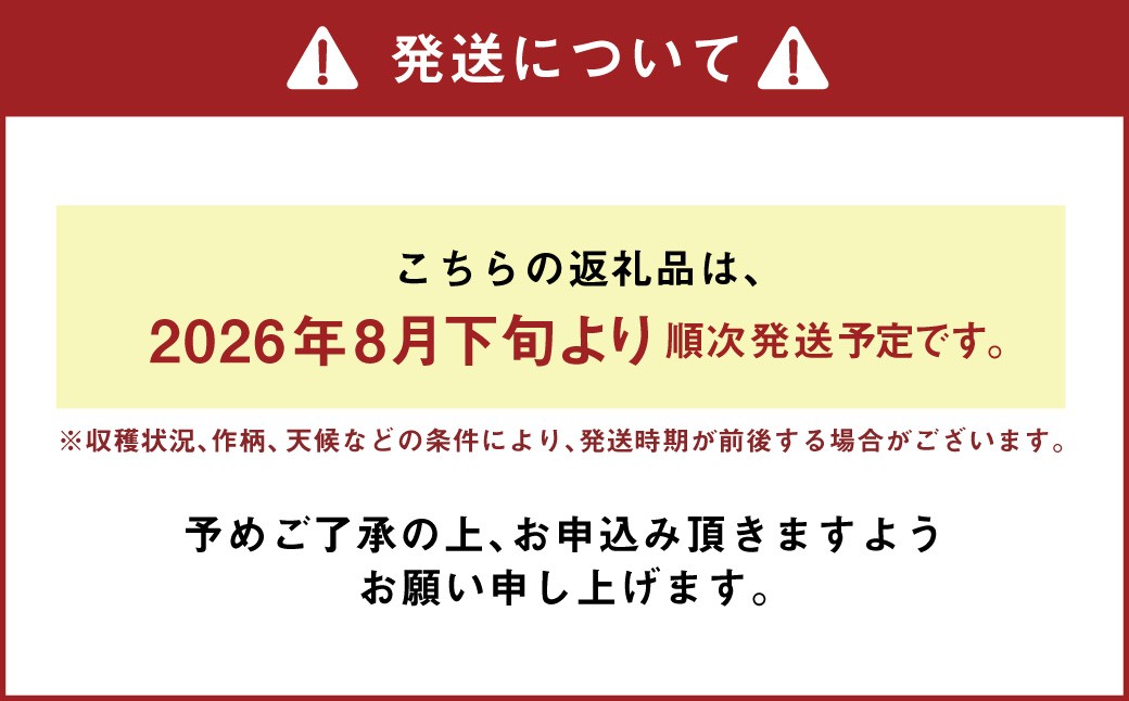 熊本県あさぎり町産　白ねぎ「球磨美人」2Lサイズ×20本